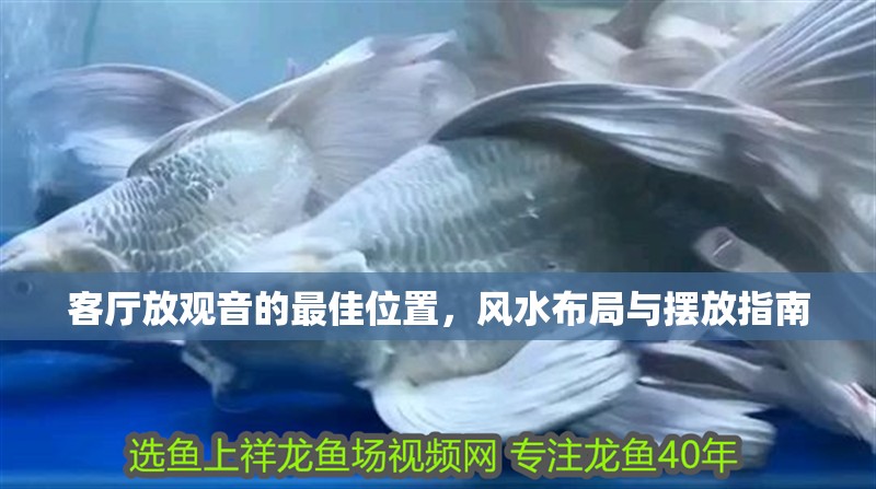 客廳放觀音的最佳位置，風水布局與擺放指南