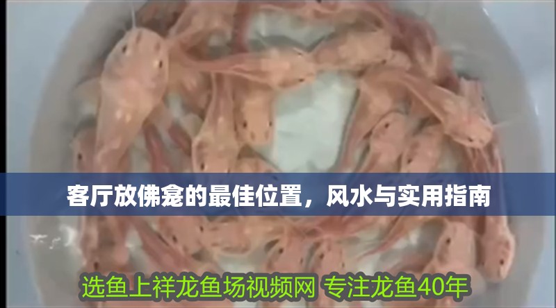 客廳放佛龕的最佳位置，風水與實用指南