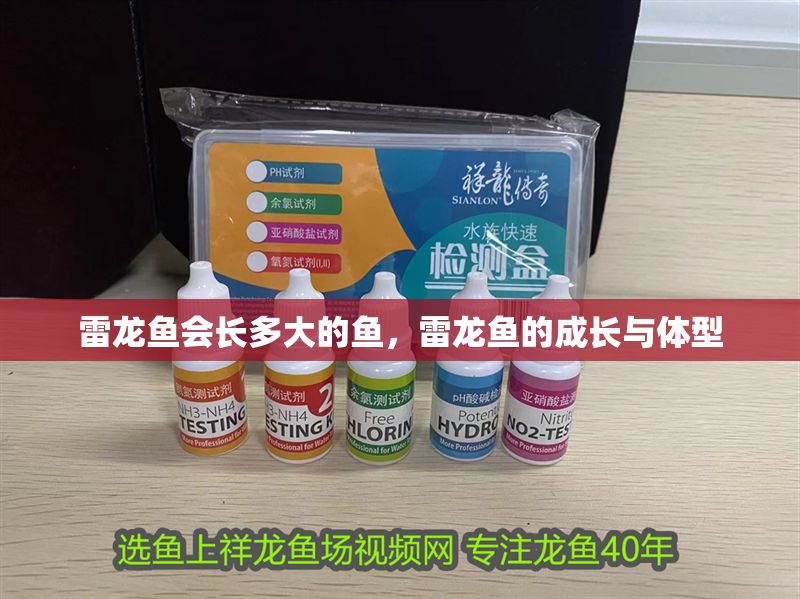 雷龍魚會長多大的魚，雷龍魚的成長與體型