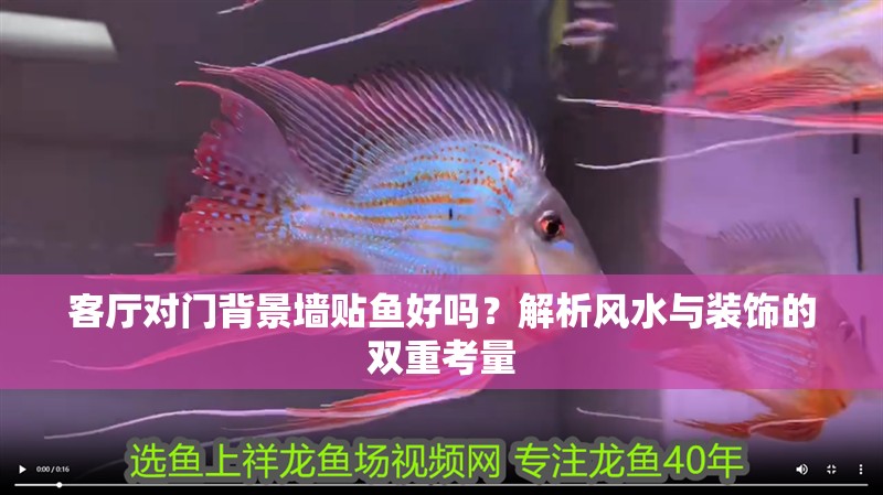 客廳對門背景墻貼魚好嗎？解析風水與裝飾的雙重考量