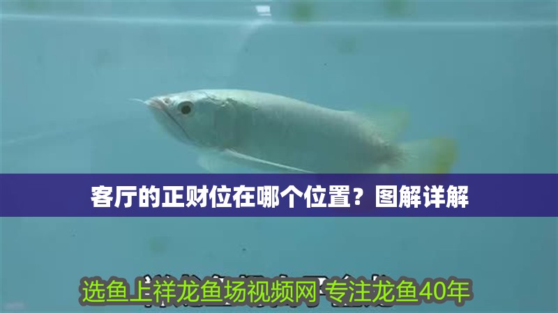 客廳的正財(cái)位在哪個(gè)位置？圖解詳解