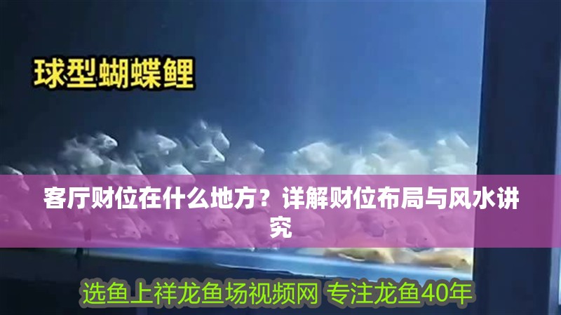客廳財(cái)位在什么地方？詳解財(cái)位布局與風(fēng)水講究