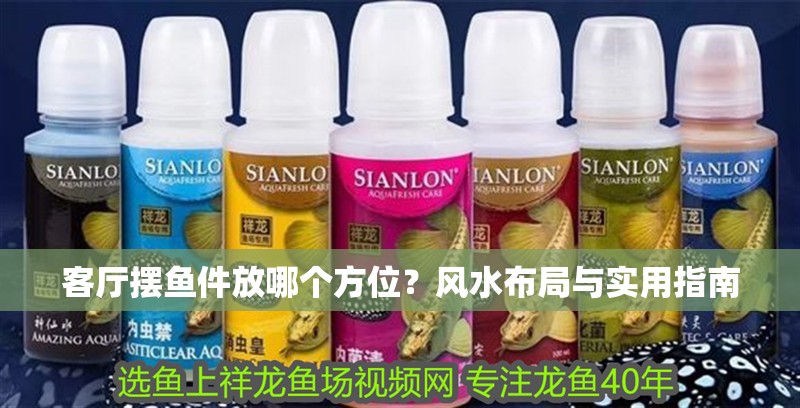 客廳擺魚件放哪個方位？風水布局與實用指南 客廳擺魚件放哪個方位？風水布局與實用指南 龍魚百科 第1張