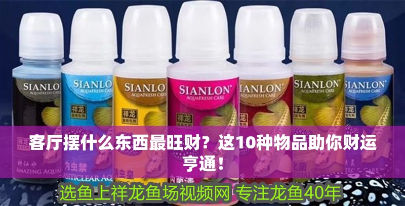 客廳擺什么東西最旺財？這10種物品助你財運亨通！ 客廳擺什么東西最旺財？這10種物品助你財運亨通！ 龍魚百科 第1張
