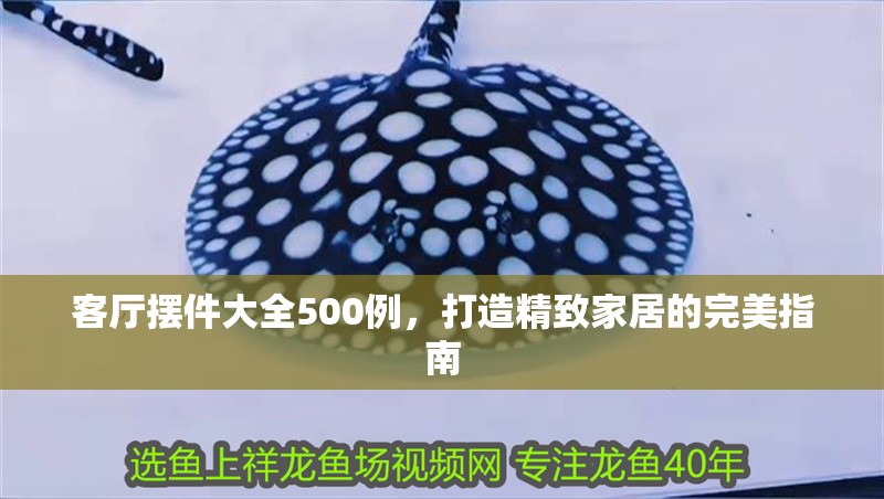 客廳擺件大全500例，打造精致家居的完美指南