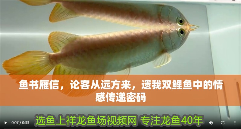 魚(yú)書(shū)雁信，論客從遠(yuǎn)方來(lái)，遺我雙鯉魚(yú)中的情感傳遞密碼