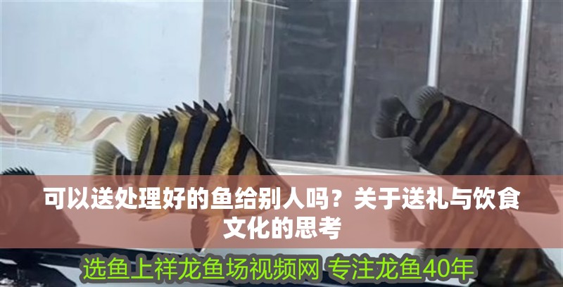 可以送處理好的魚給別人嗎？關于送禮與飲食文化的思考