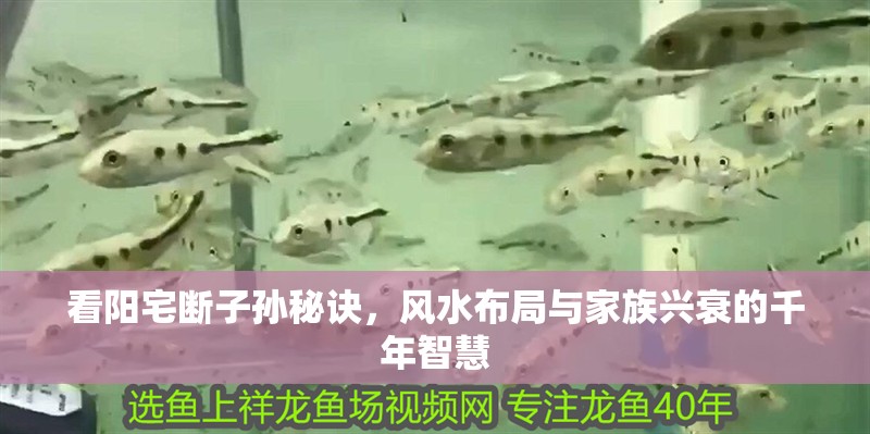 看陽宅斷子孫秘訣，風水布局與家族興衰的千年智慧