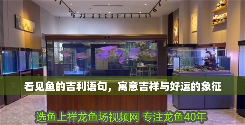 看見魚的吉利語句，寓意吉祥與好運的象征