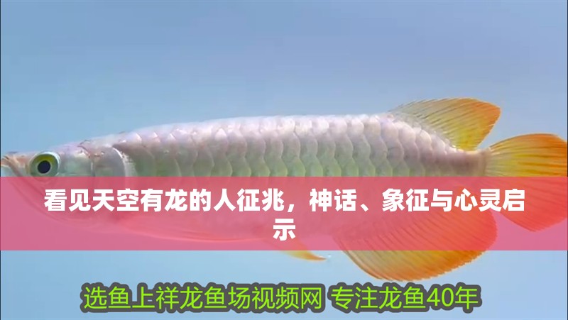 看見天空有龍的人征兆，神話、象征與心靈啟示