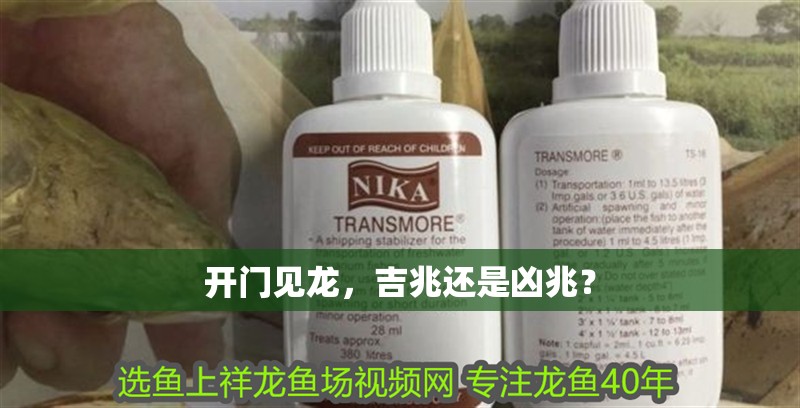 開門見龍，吉兆還是兇兆？