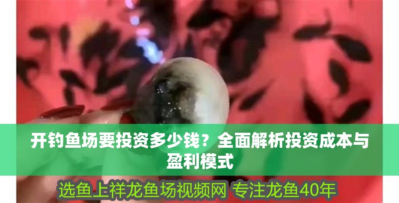 開釣魚場要投資多少錢？全面解析投資成本與盈利模式