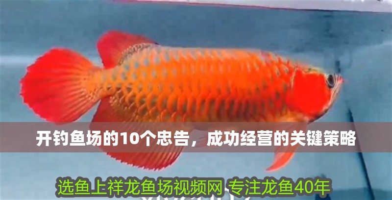 開(kāi)釣魚(yú)場(chǎng)的10個(gè)忠告，成功經(jīng)營(yíng)的關(guān)鍵策略