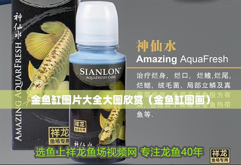 金魚缸圖片大全大圖欣賞（金魚缸圖畫）