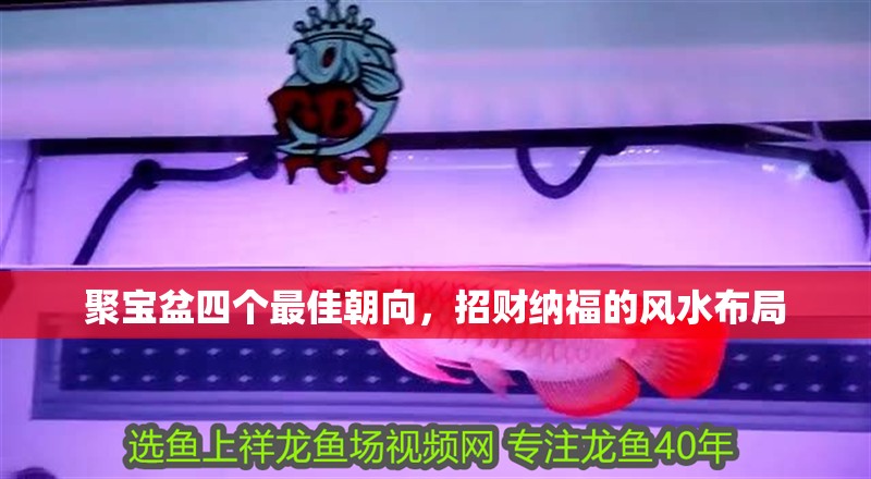 聚寶盆四個最佳朝向，招財納福的風(fēng)水布局