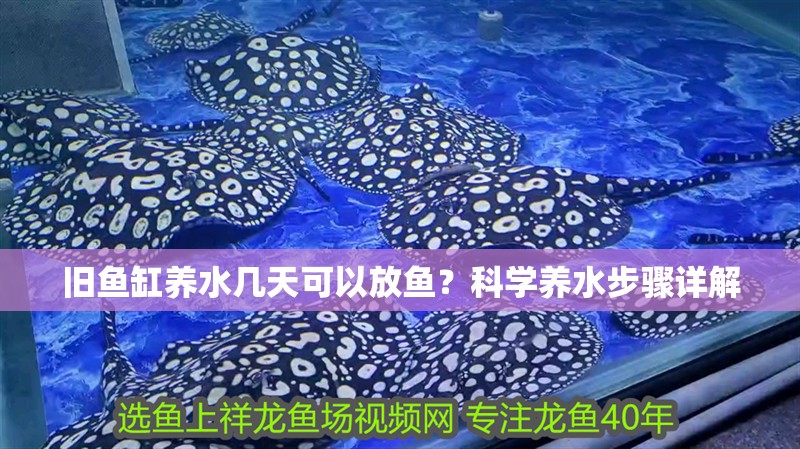 舊魚缸養水幾天可以放魚？科學養水步驟詳解