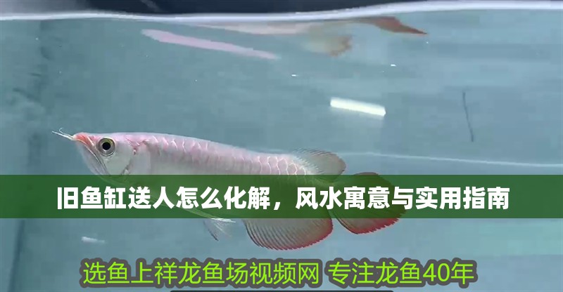 舊魚缸送人怎么化解，風水寓意與實用指南