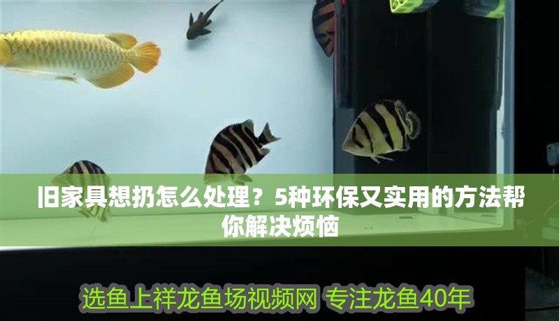 舊家具想扔怎么處理？5種環保又實用的方法幫你解決煩惱