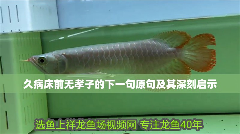 久病床前無孝子的下一句原句及其深刻啟示