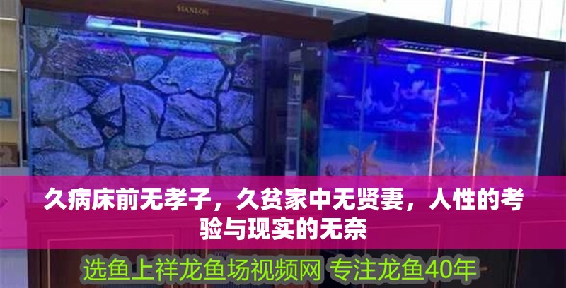 久病床前無孝子，久貧家中無賢妻，人性的考驗與現實的無奈