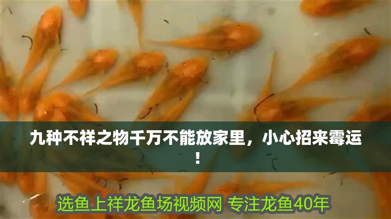 九種不祥之物千萬(wàn)不能放家里，小心招來(lái)霉運(yùn)！