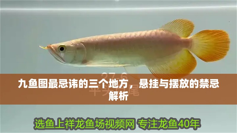 九魚圖最忌諱的三個地方，懸掛與擺放的禁忌解析