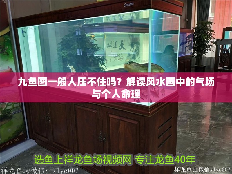 九魚圖一般人壓不住嗎？解讀風水畫中的氣場與個人命理