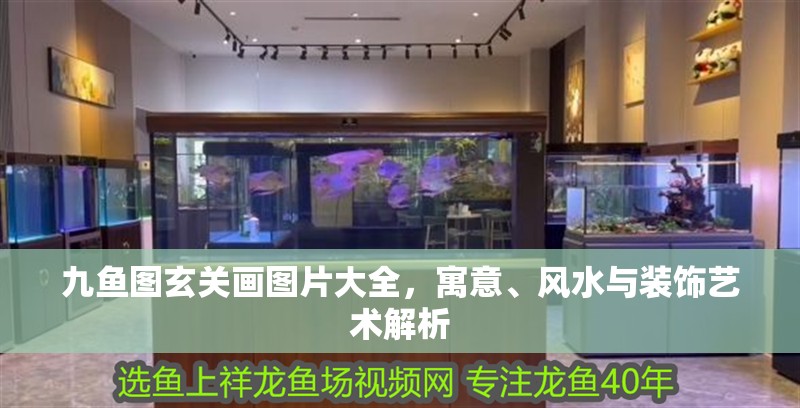 九魚(yú)圖玄關(guān)畫(huà)圖片大全，寓意、風(fēng)水與裝飾藝術(shù)解析