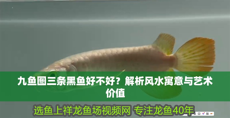 九魚圖三條黑魚好不好？解析風水寓意與藝術價值