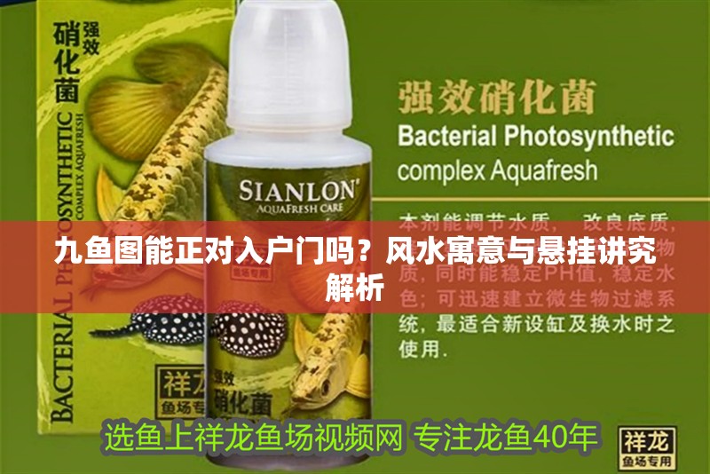 九魚圖能正對入戶門嗎？風水寓意與懸掛講究解析
