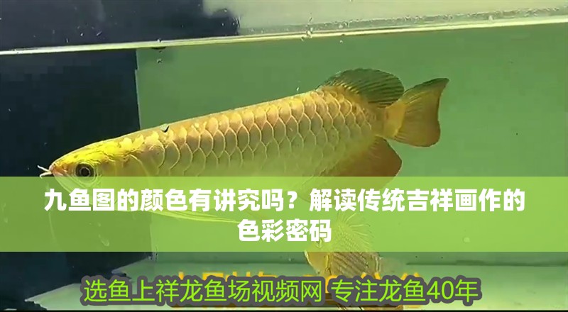 九魚圖的顏色有講究嗎？解讀傳統吉祥畫作的色彩密碼