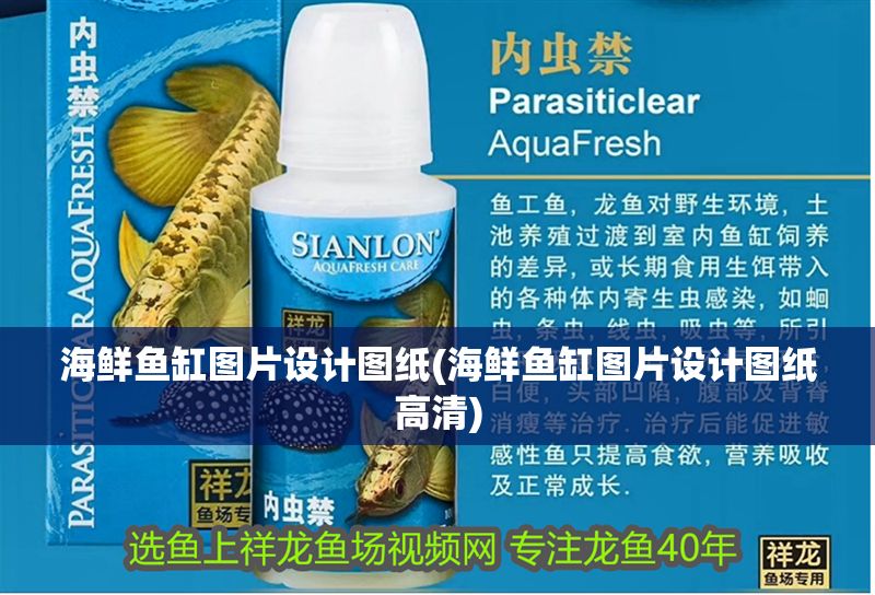 海鮮魚缸圖片設計圖紙(海鮮魚缸圖片設計圖紙高清)