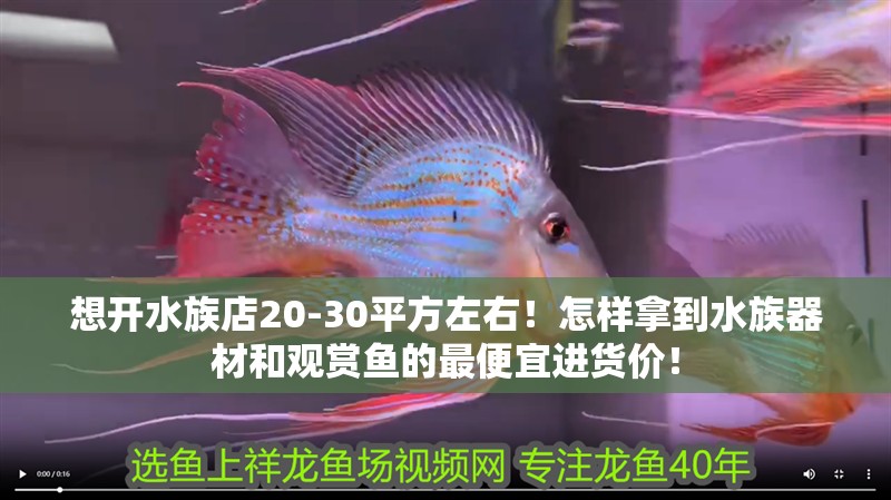 想開水族店20-30平方左右！怎樣拿到水族器材和觀賞魚的最便宜進貨價！ 想開水族店20-30平方左右！怎樣拿到水族器材和觀賞魚的最便宜進貨價！ 全國水族館企業名錄 第1張