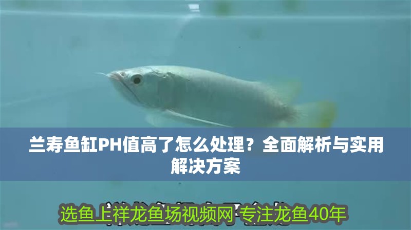 蘭壽魚缸PH值高了怎么處理？全面解析與實用解決方案