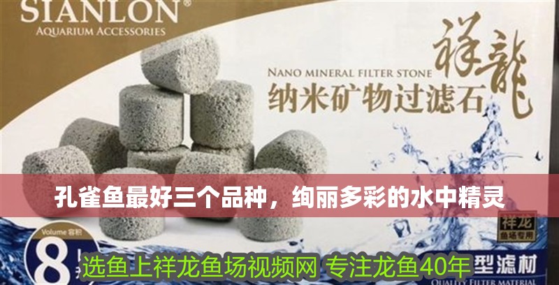 孔雀魚最好三個品種，絢麗多彩的水中精靈