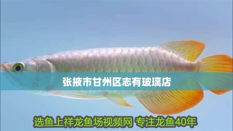 張掖市甘州區志有玻璃店