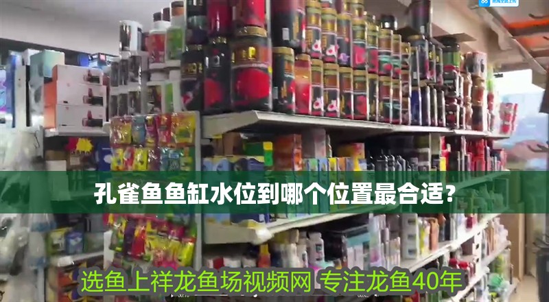 孔雀魚魚缸水位到哪個位置最合適？