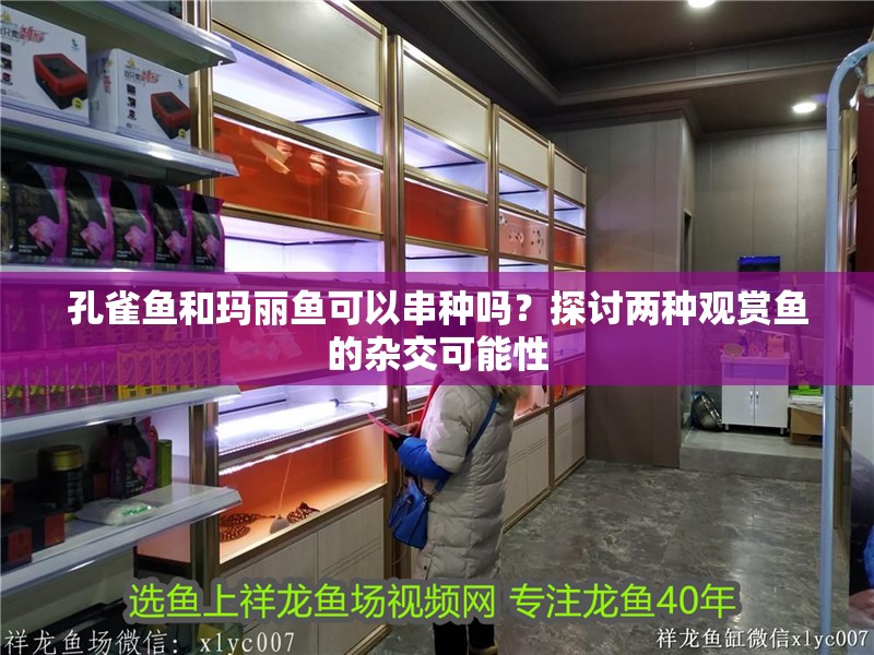 孔雀魚和瑪麗魚可以串種嗎？探討兩種觀賞魚的雜交可能性