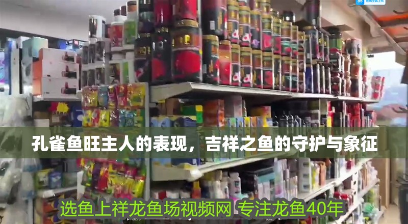 孔雀魚旺主人的表現，吉祥之魚的守護與象征