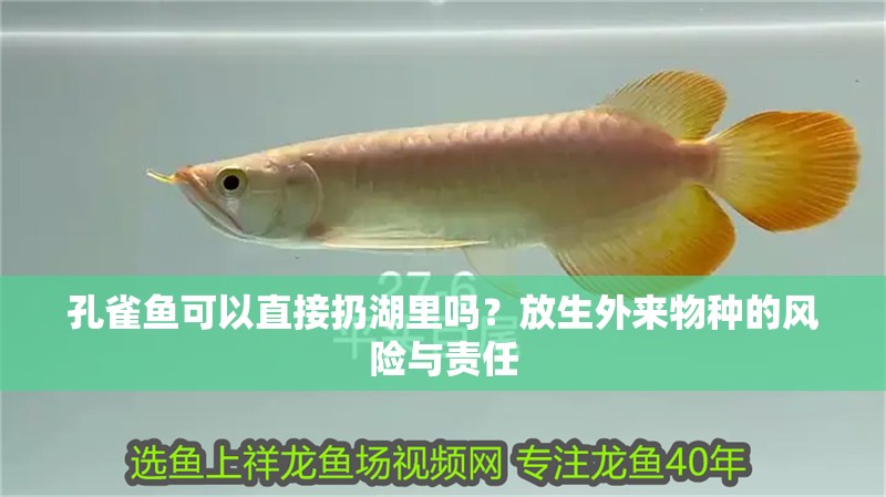 孔雀魚可以直接扔湖里嗎？放生外來物種的風(fēng)險(xiǎn)與責(zé)任