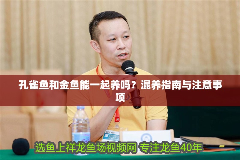 孔雀魚和金魚能一起養(yǎng)嗎？混養(yǎng)指南與注意事項