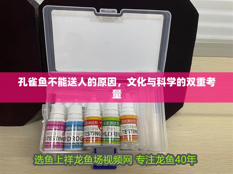 孔雀魚不能送人的原因，文化與科學的雙重考量