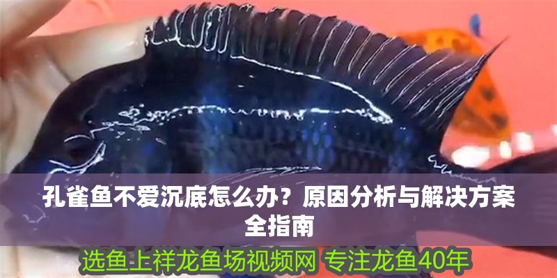 孔雀魚不愛沉底怎么辦？原因分析與解決方案全指南