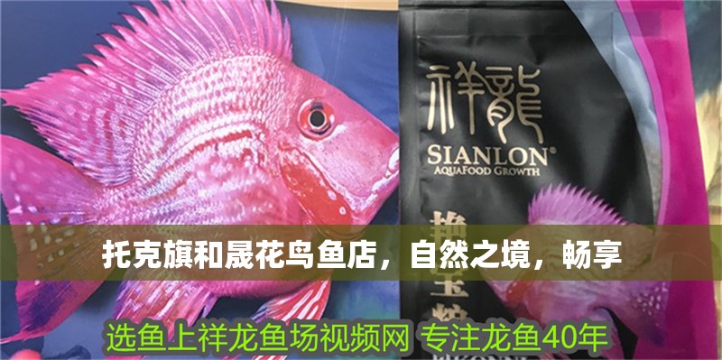 托克旗和晟花鳥魚店，自然之境，暢享