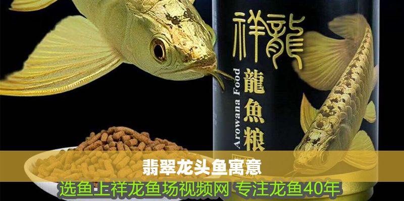 翡翠龍頭魚寓意