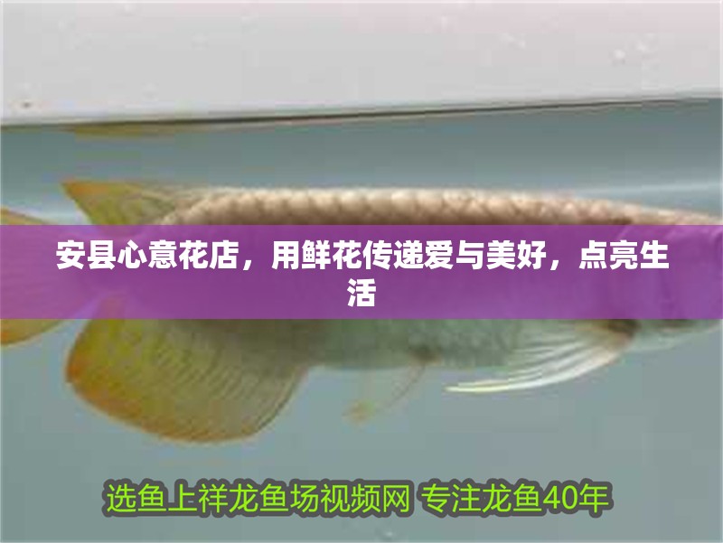 安縣心意花店，用鮮花傳遞愛與美好，點亮生活