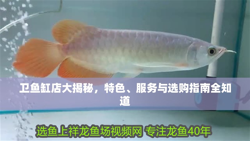 衛(wèi)魚缸店大揭秘，特色、服務(wù)與選購指南全知道