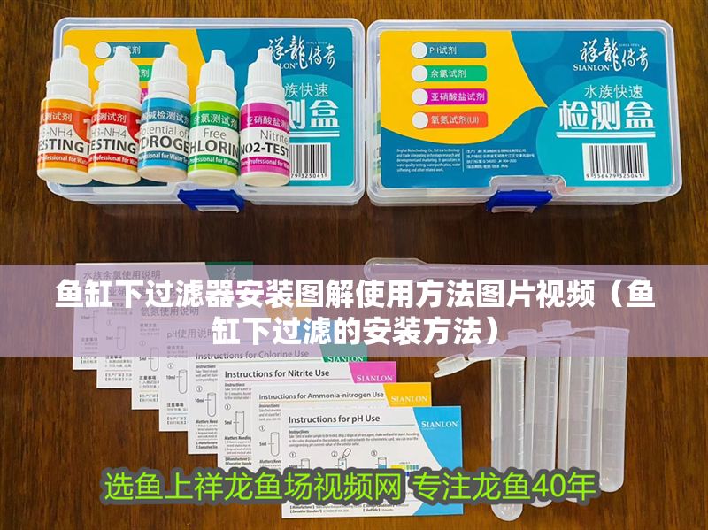 魚缸下過濾器安裝圖解使用方法圖片視頻（魚缸下過濾的安裝方法）