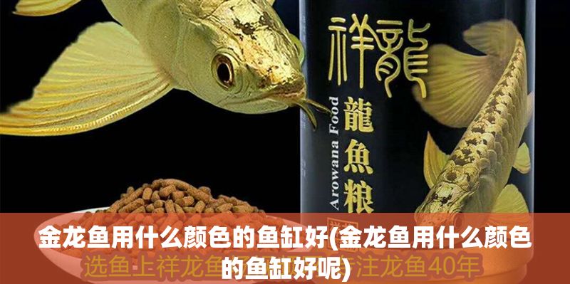 金龍魚用什么顏色的魚缸好(金龍魚用什么顏色的魚缸好呢)