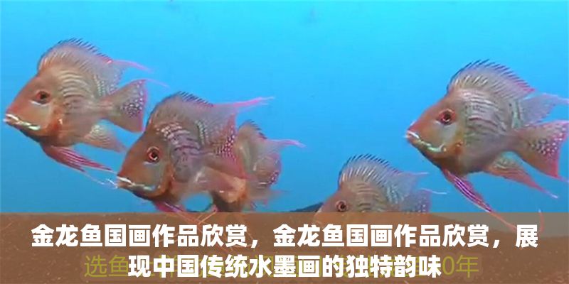 金龍魚國畫作品欣賞，金龍魚國畫作品欣賞，展現中國傳統水墨畫的獨特韻味